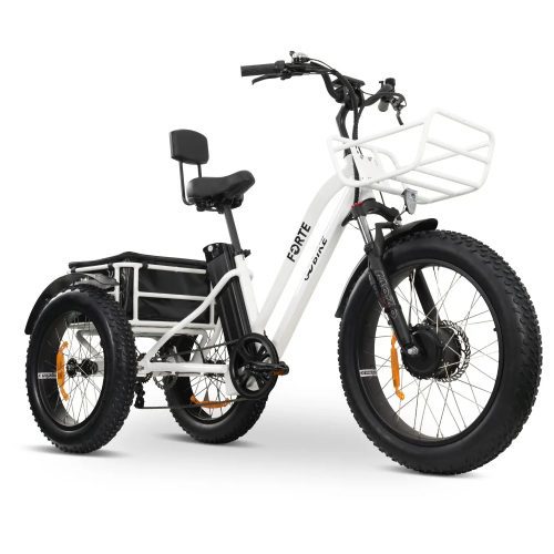 FORTE Electric Tricycle 1