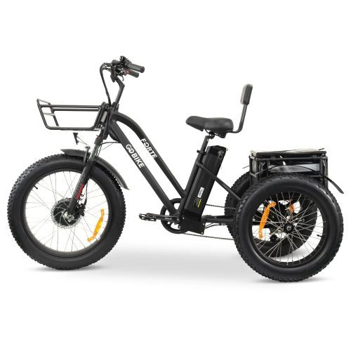 FORTE Electric Tricycle 4