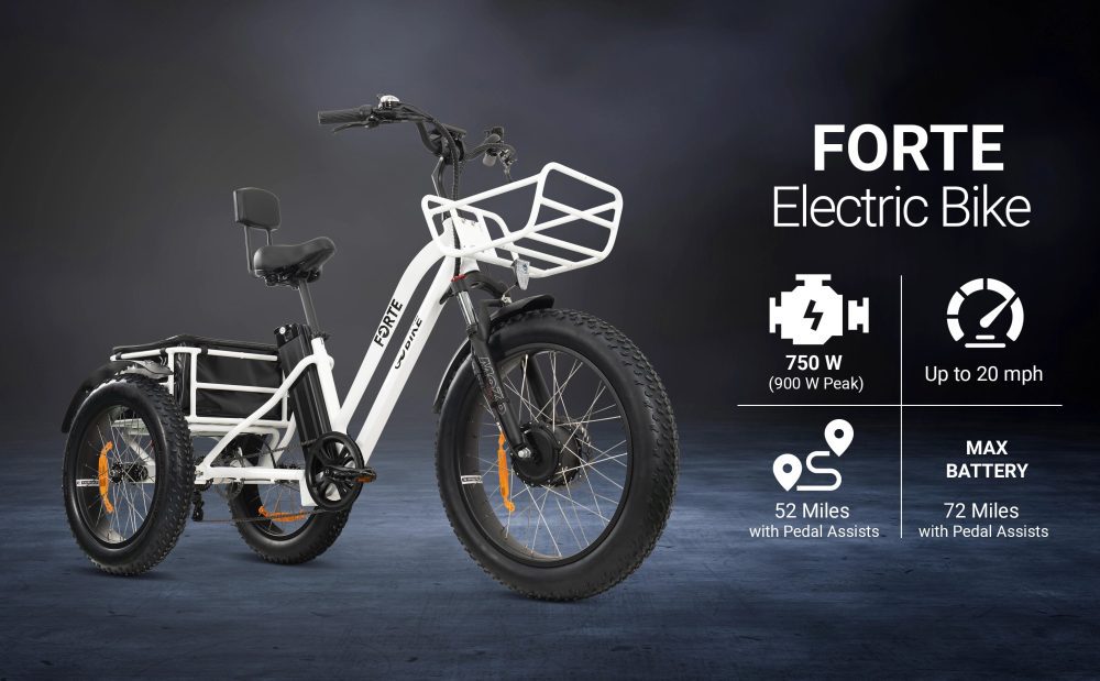 FORTE Electric Trike 750W GOBIKE